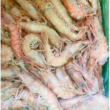 Crevettes de sable de crevette de mer congelée